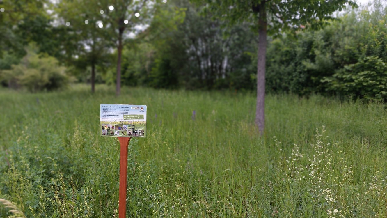 Schild Blühwiese in Ilmenau / StadtGrün naturnah