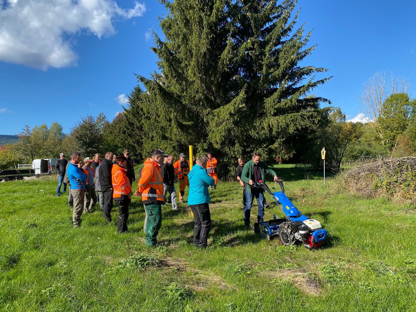 Fortbildung zu Blühwiesen und der insektenschonenden Pflege in Ilmenau
