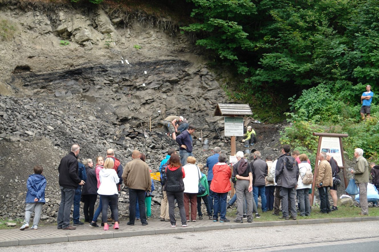 Aufschluss Kammerberg