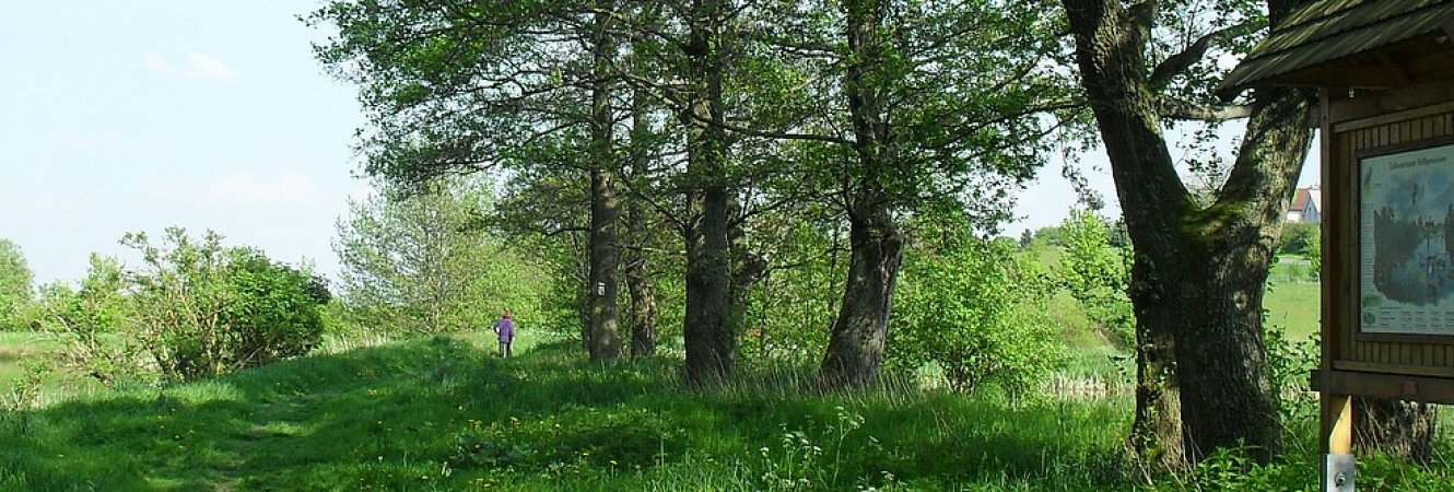 Weg von Bach zu Goethe bei Oberpörlitz