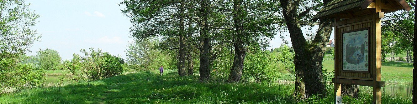 Weg von Bach zu Goethe bei Oberpörlitz