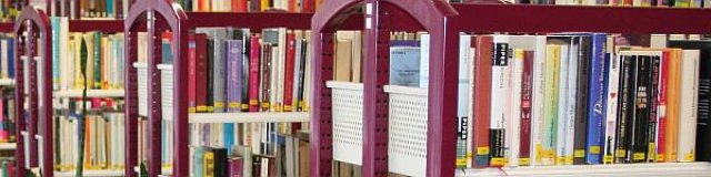 Bücher in Regalen