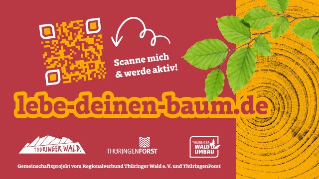 Lebe deinen Baum 