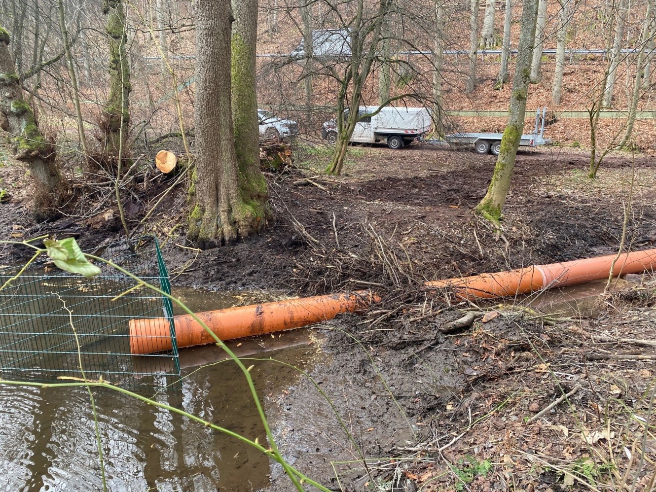 Biberdammdrainage am Ritzebühler Teich in Ilmenau in Abstimmung mit der Unteren Naturschutzbehörde eingebaut