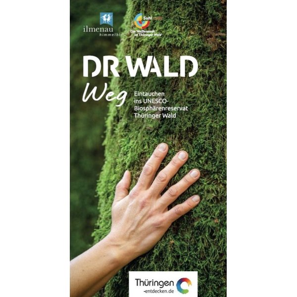 DR Wald Weg