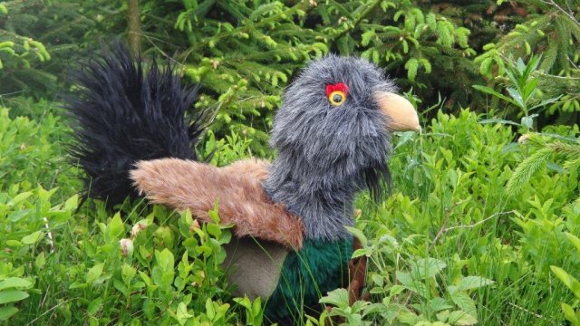 Auerhahn Kicki, das Maskottchen des Museums Jagdhaus Gabelbach