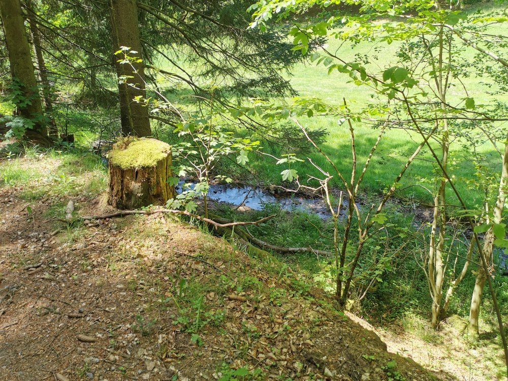 Frauenwald am Rennsteig /der Fraubach