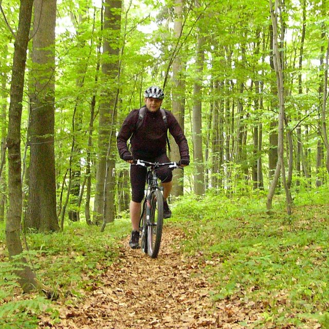 Frauenwald - Radfahrer im Wald