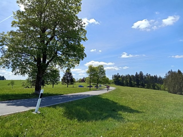 Frauenwald am Rennsteig Richtung Süden