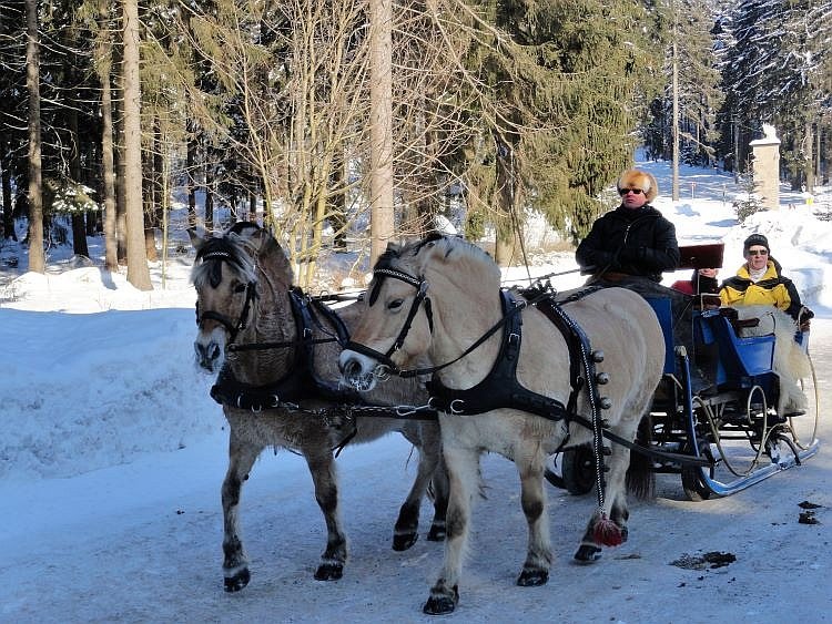 Frauenwald Kutschfahrt im Winter