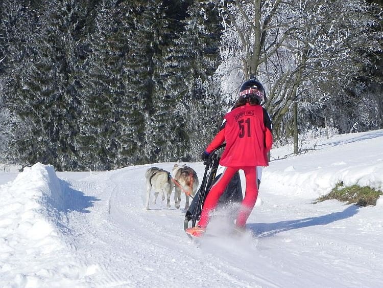 Frauenwald Schlittenhundefahrt