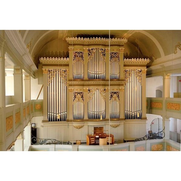 Führung- Die über 100-jährige Walcker Orgel
