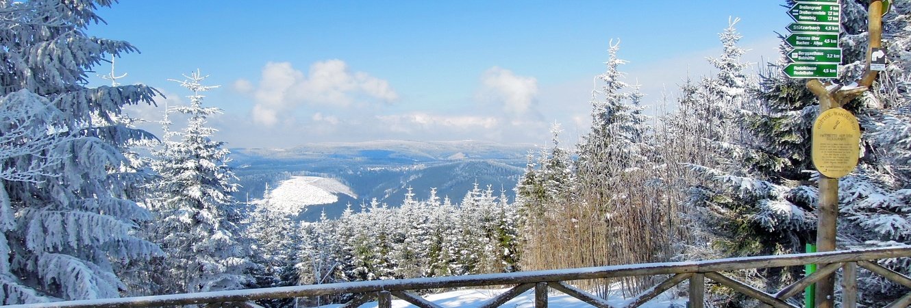 Blick zum Rennsteig und Wegweiser auf dem Kickelhahn im Winter