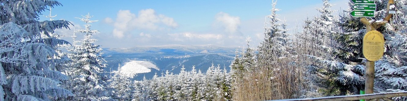 Blick zum Rennsteig und Wegweiser auf dem Kickelhahn im Winter