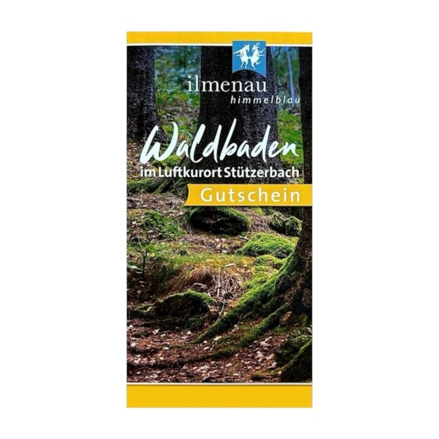 Gutschein Waldbaden-Führung im Luftkurort Stützerbach