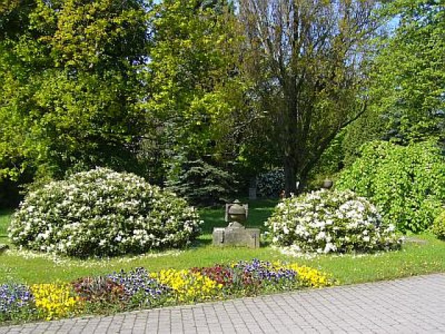 Historischer Friedhof im Frühjahr