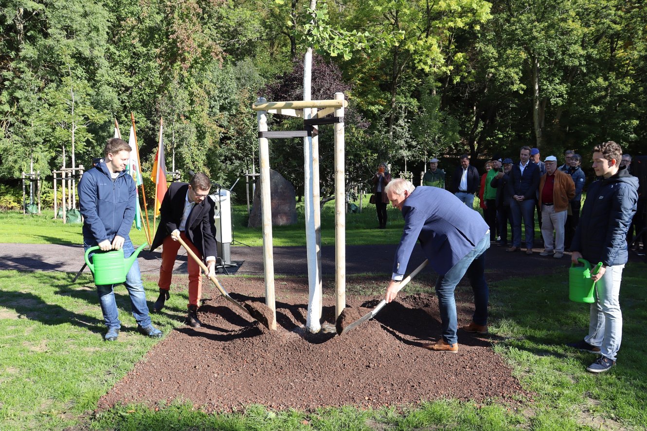 Ginkgobaum zum Tag der Deutschen Einheit im Ilmenauer Stadtpark gepflanzt