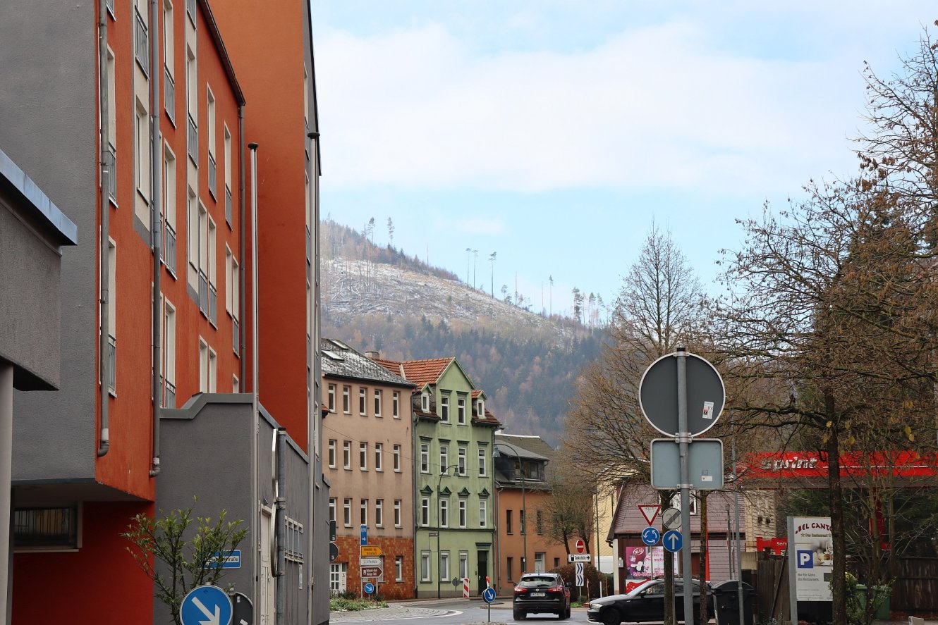 Kahlschlag oberhalb von Ilmenau