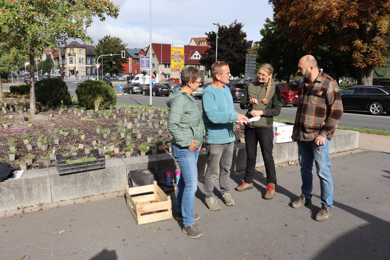 Erste öffentliche Grünanlagen der Stadt Ilmenau mit ökologisch wertvollen Gewächsen bepflanzt