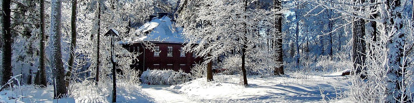 Jagdhaus Gabelbach im Winter