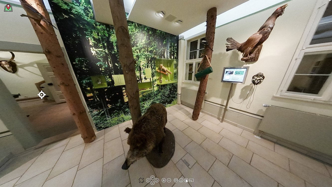 Virtueller Rundgang im Museum Jagdhaus Gabelbach
