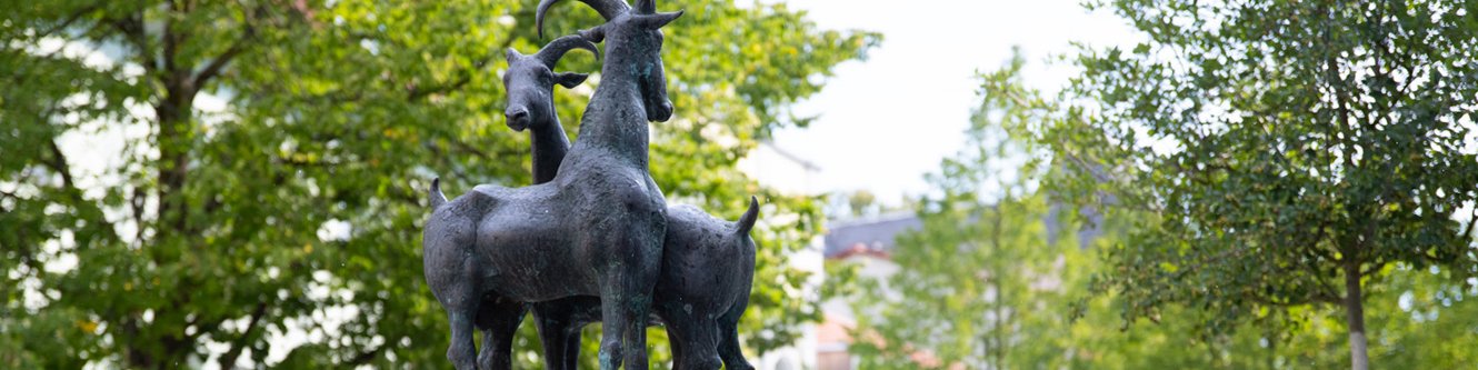 Ziegenbrunnen Kopfbild