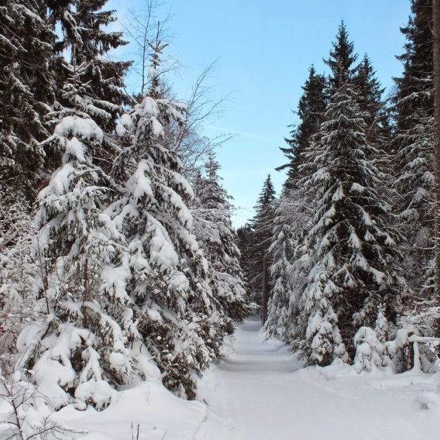 Skiwanderweg3