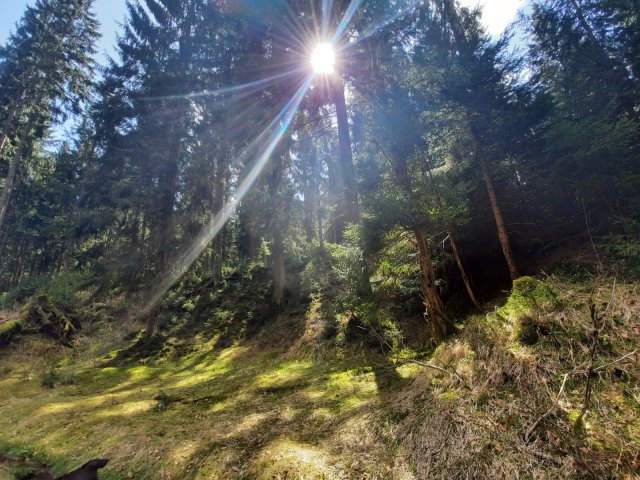 Naturcamp Meyersgrund Umgebung