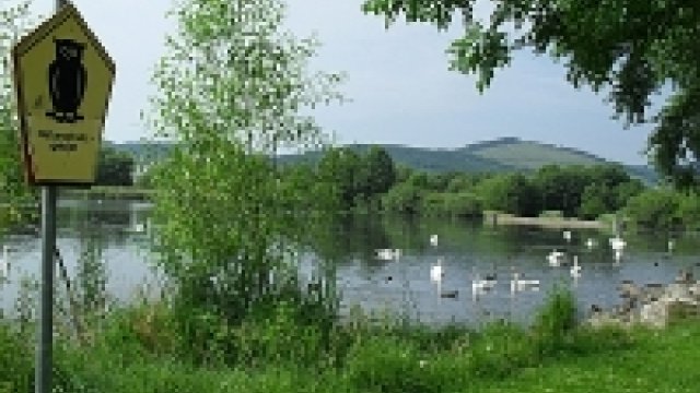 Natur erleben