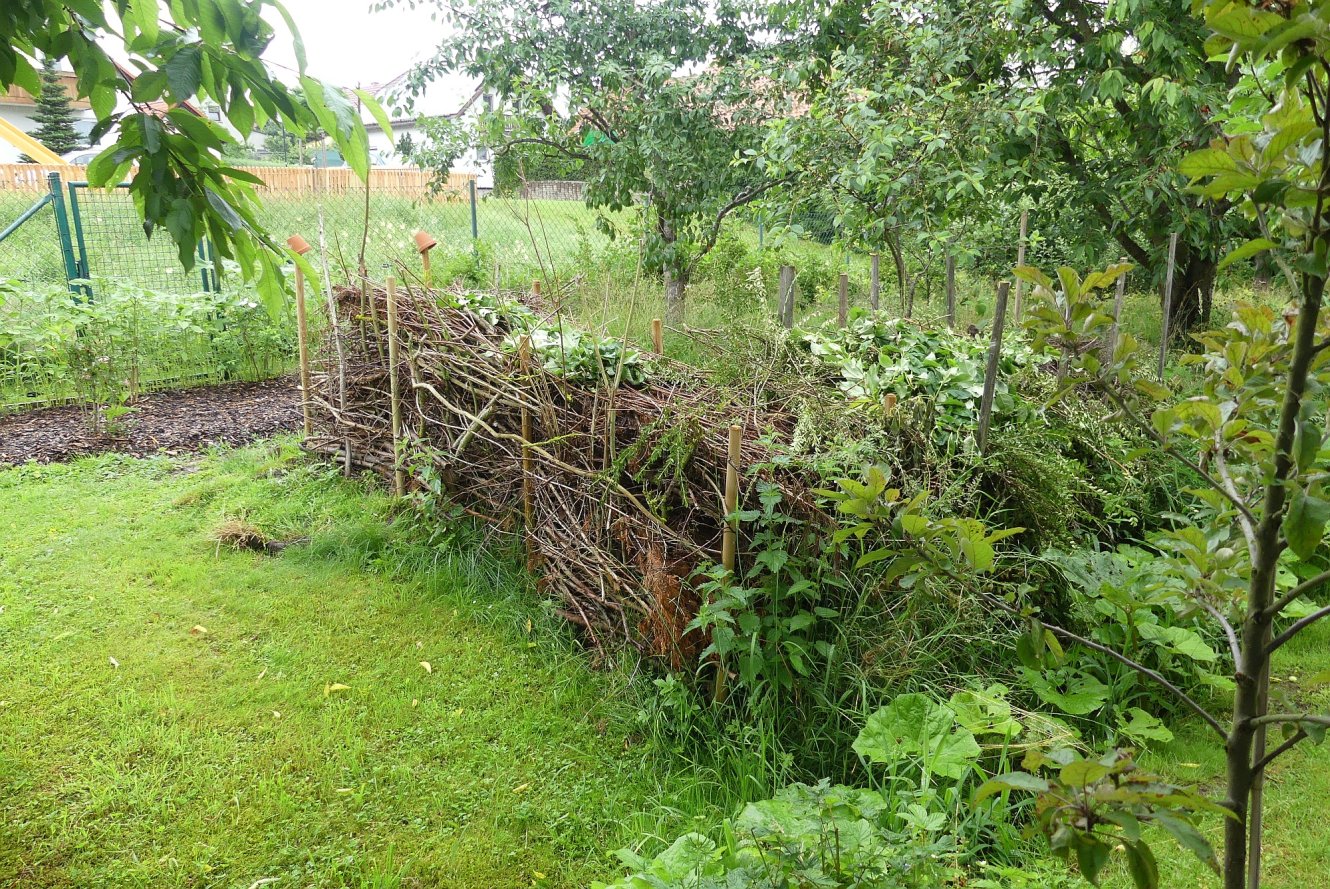 Wettbewerb zum Naturgarten 2023 in Ilmenau und den Ortsteilen