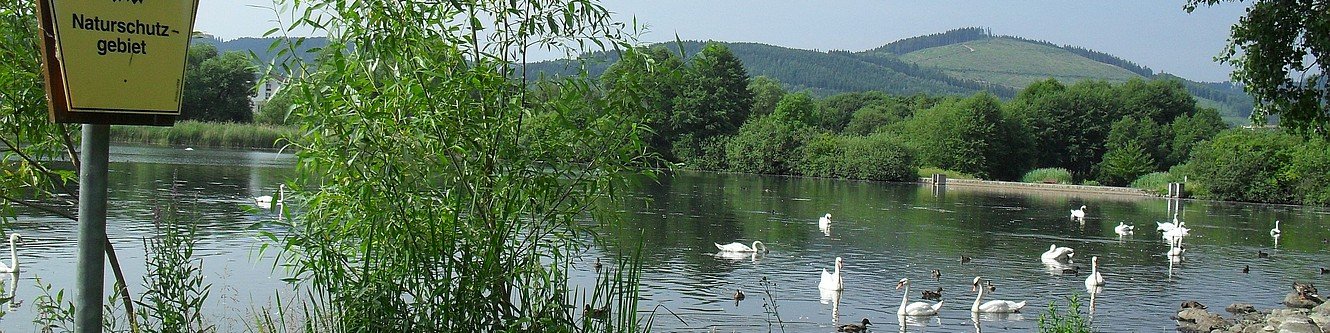 Naturschutzgebiet Großer Teich