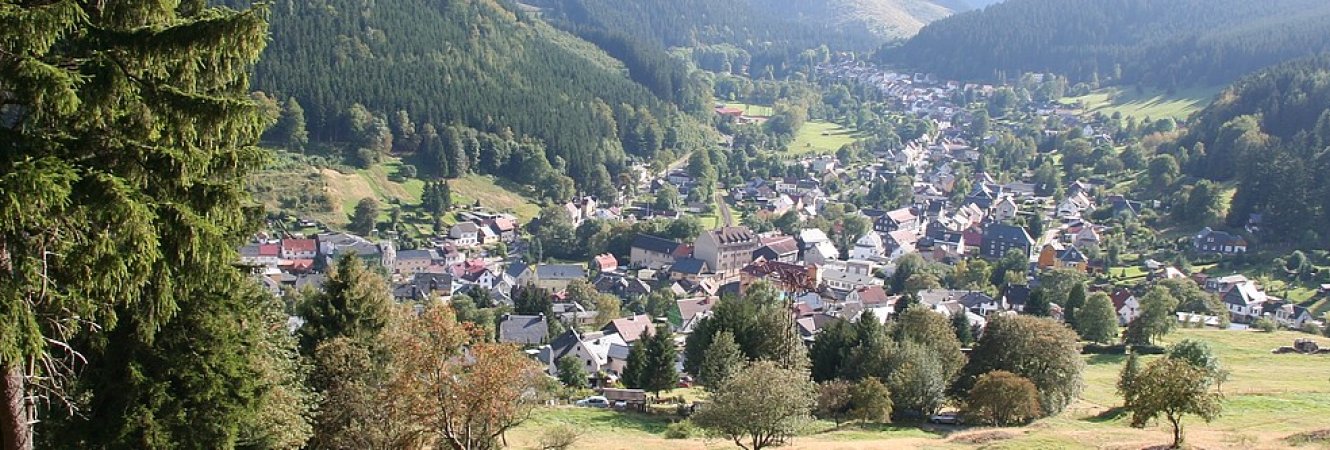 Blick auf Manebach vom Oberen Berggrabenweg