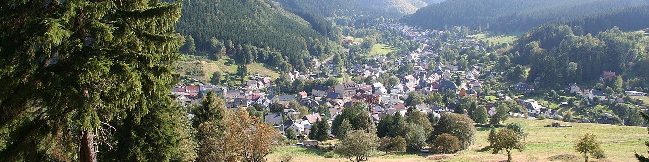 Blick auf Manebach vom Oberen Berggrabenweg