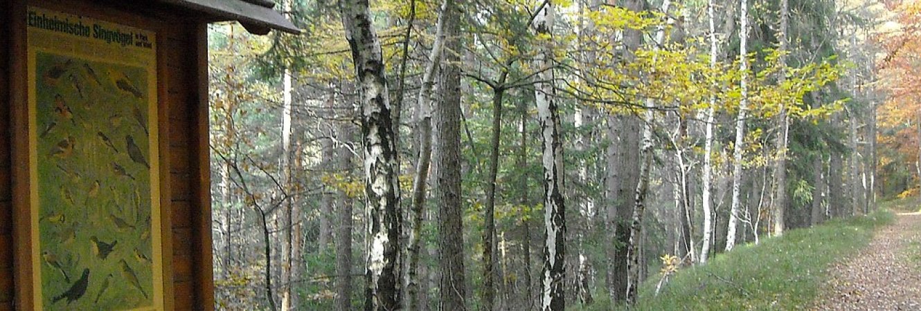 Oberer Berggrabenweg