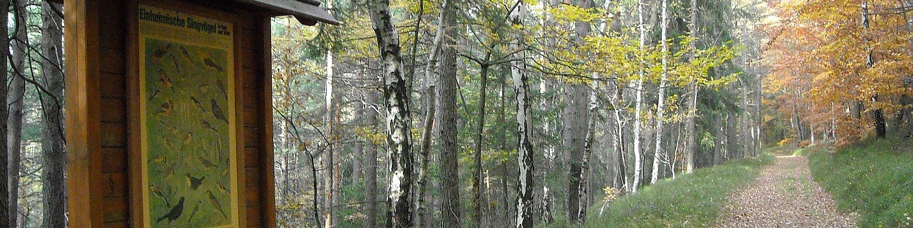 Oberer Berggrabenweg