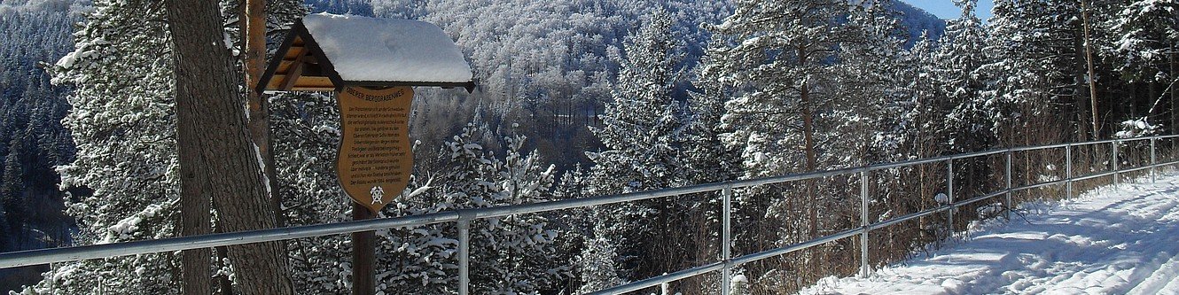 Oberer Berggrabenweg