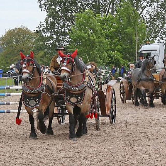 Dorffest Oberpörlitz (2013)