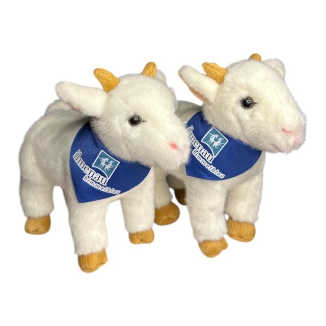 Plüsch - Ziege I 23 cm hoch, 26 cm lang I 19,90 € 