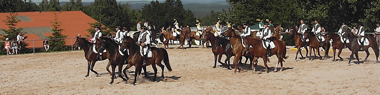 Pferdesport auf dem Reiterhof in Oberpörlitz