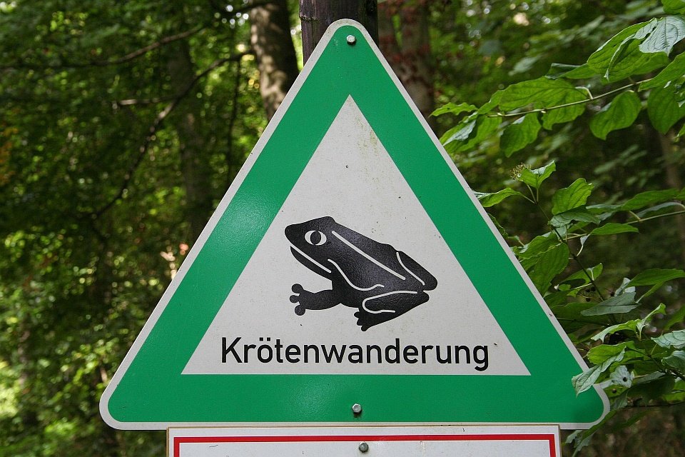 Schild Krötenwanderung