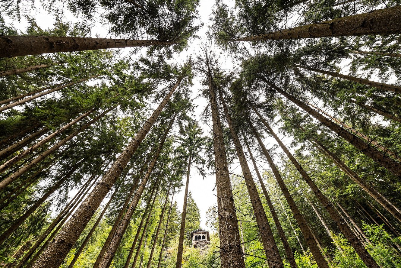 Waldbaden