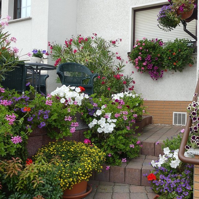 Prächtiger Blumenschmuck in der Simsgasse 8