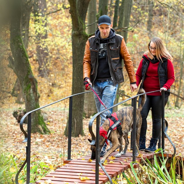 Paar mit Hund