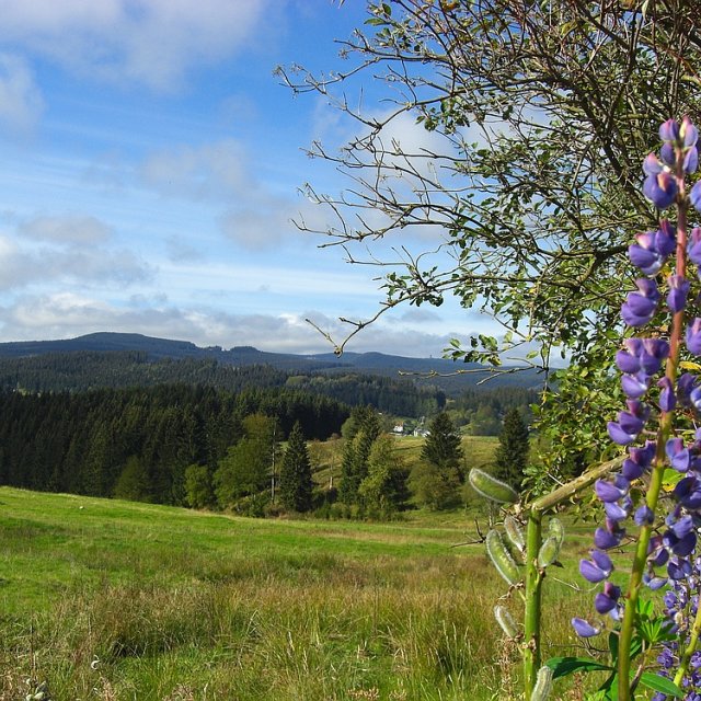 Blick vom Panoramaweg