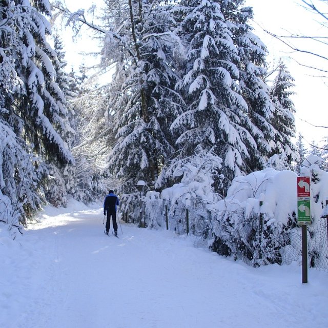 Skiwanderweg