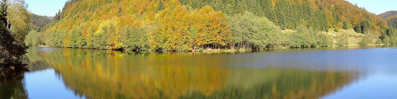 Talsperre Schönbrunn