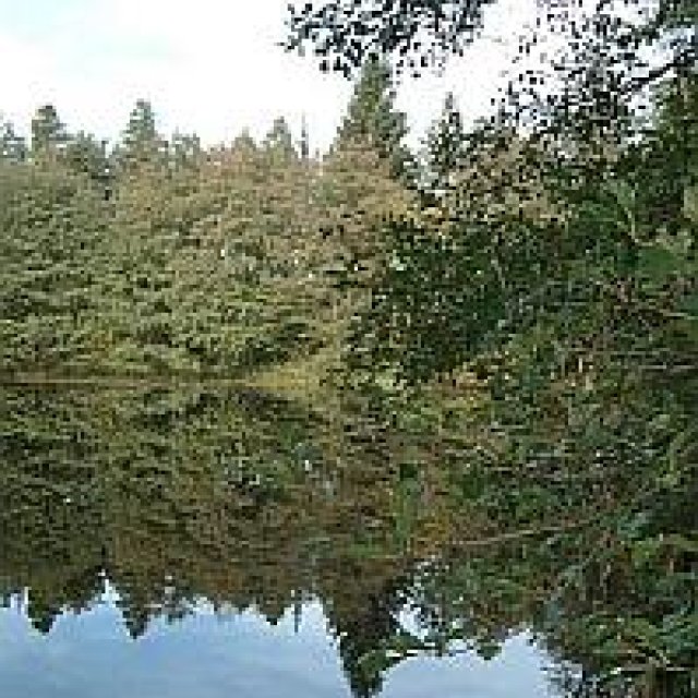 Teich bei Unterpörlitz, Foto: Martin Jäcklein