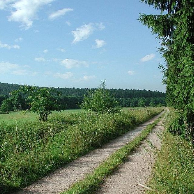 Weg bei Unterpörlitz, Foto: Horst Bradsch