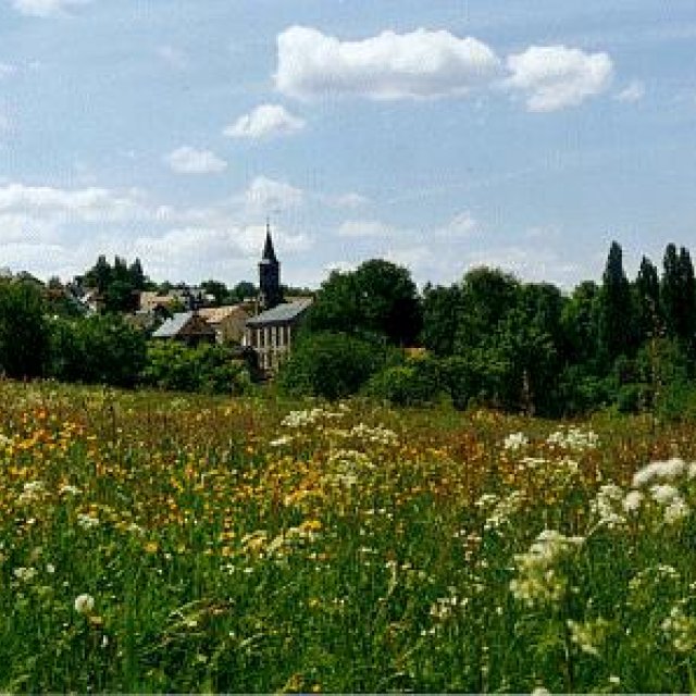 Blick über Sommerwiese Richtung Unterpörlitz