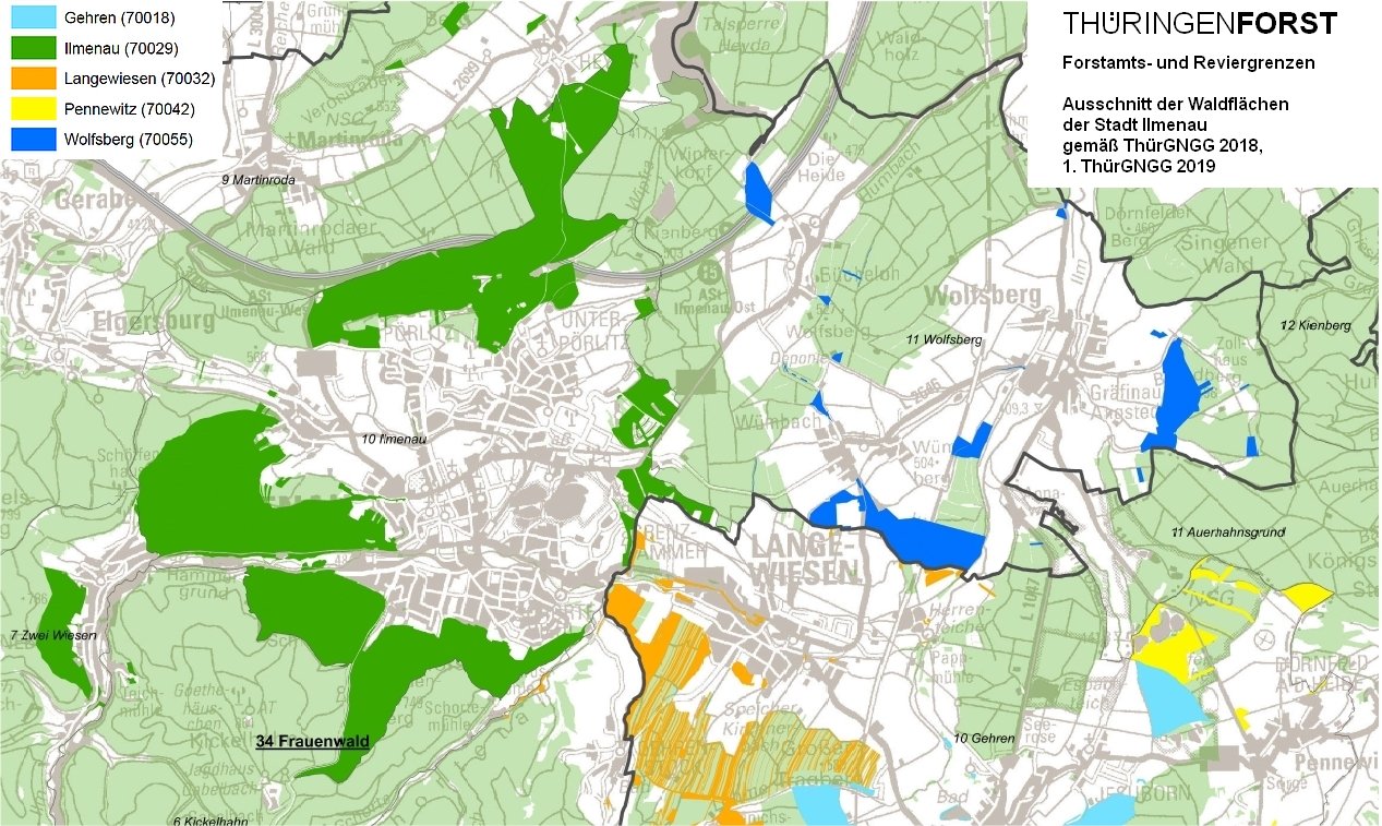 Waldflächen der Stadt Ilmenau (Ausschnitt einer Karte des ThüringenForst)